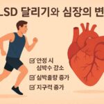 LSD 달리기와 심장