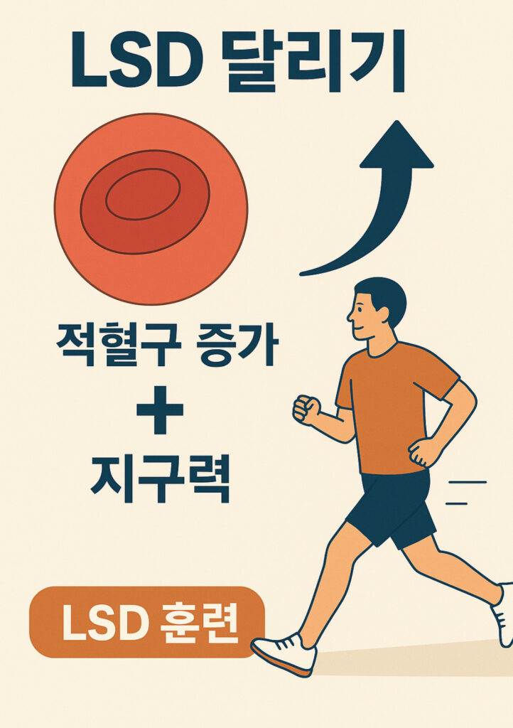 지구력 스포츠 LSD 달리기