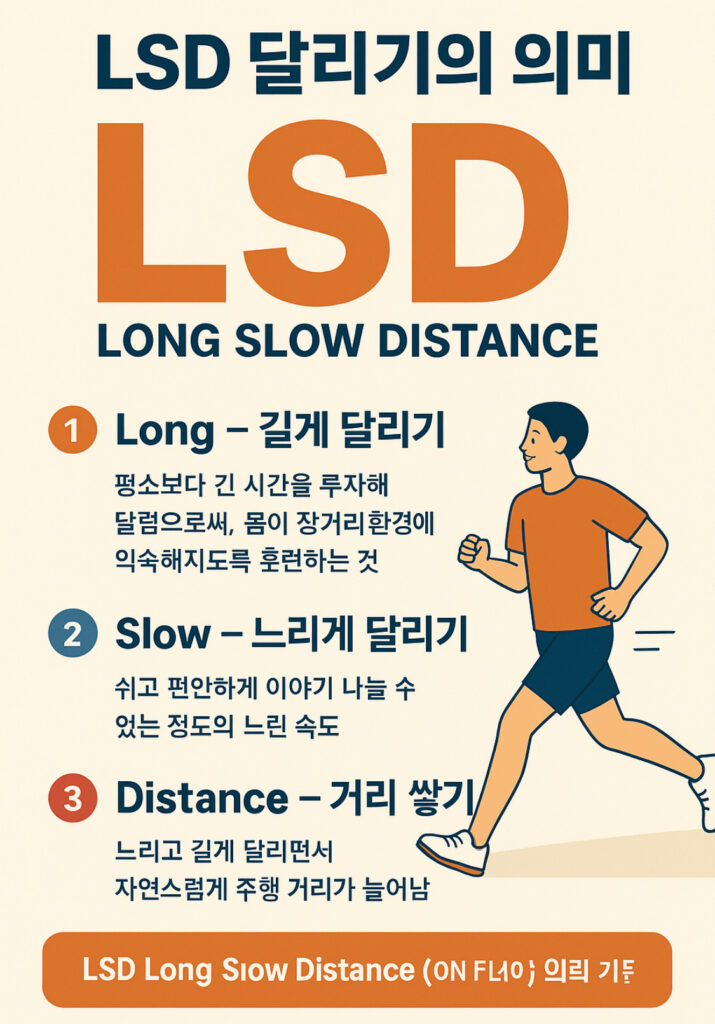 LSD 달리기의 의미