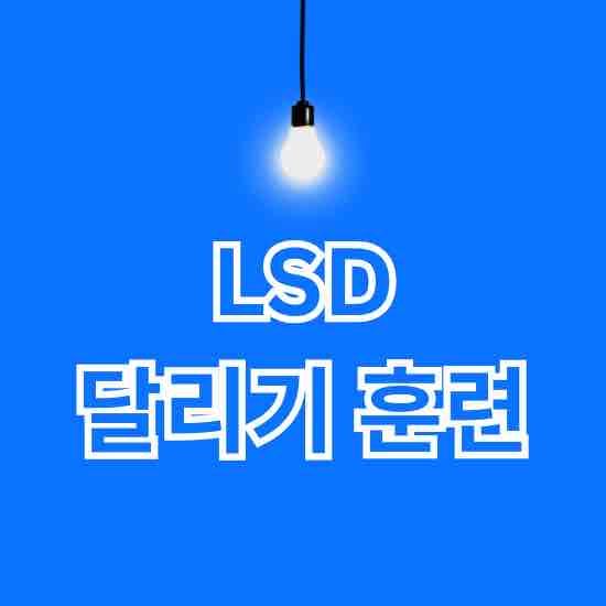 LSD 달리기 훈련법