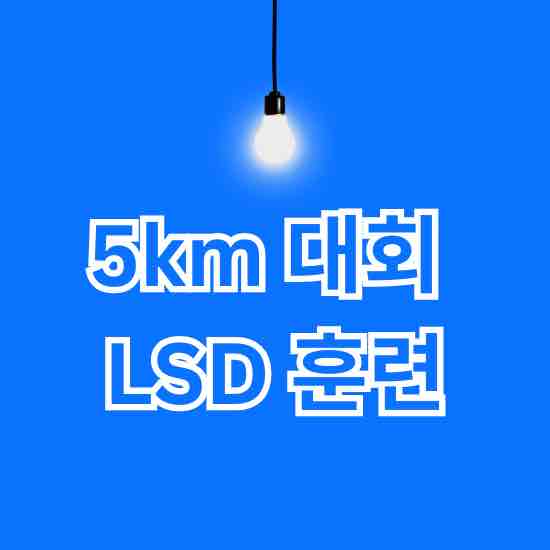 5km 대회 준비 LSD 훈련