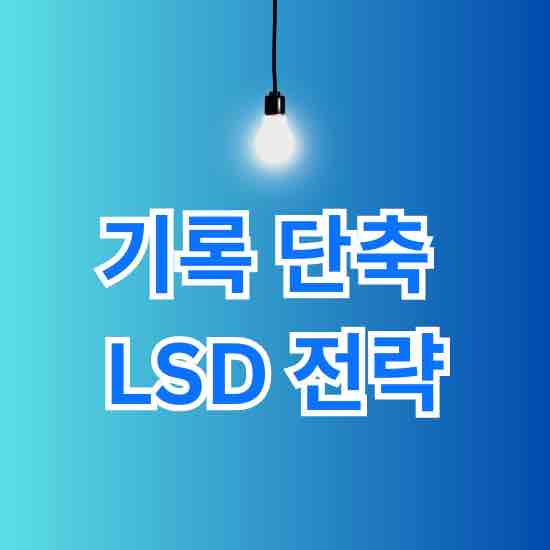 기록 단축 LSD 전략