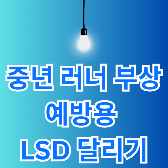중년 러너 부상 예방용 LSD 달리기