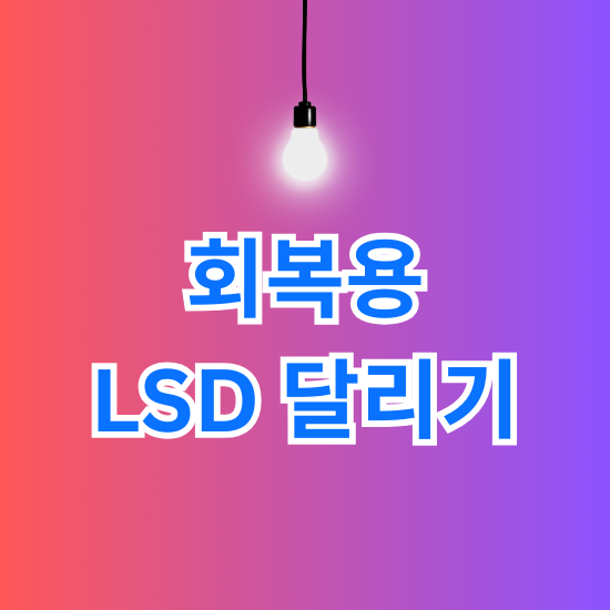 회복용 LSD 달리기 전략