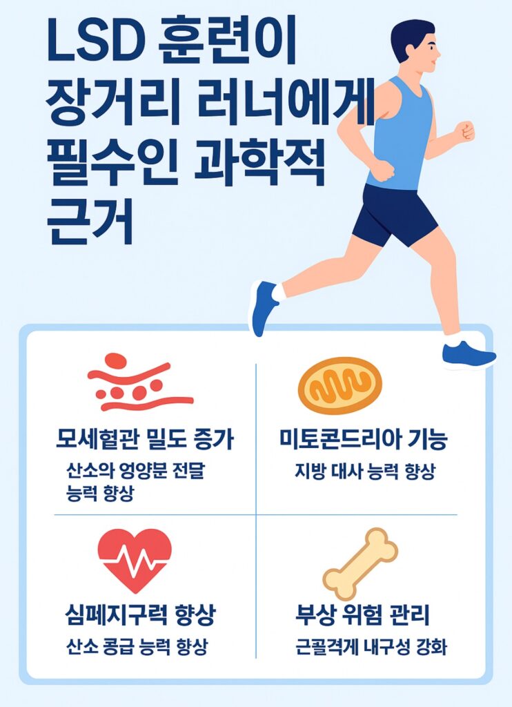 LSD 훈련이 장거리 러너에게 필수