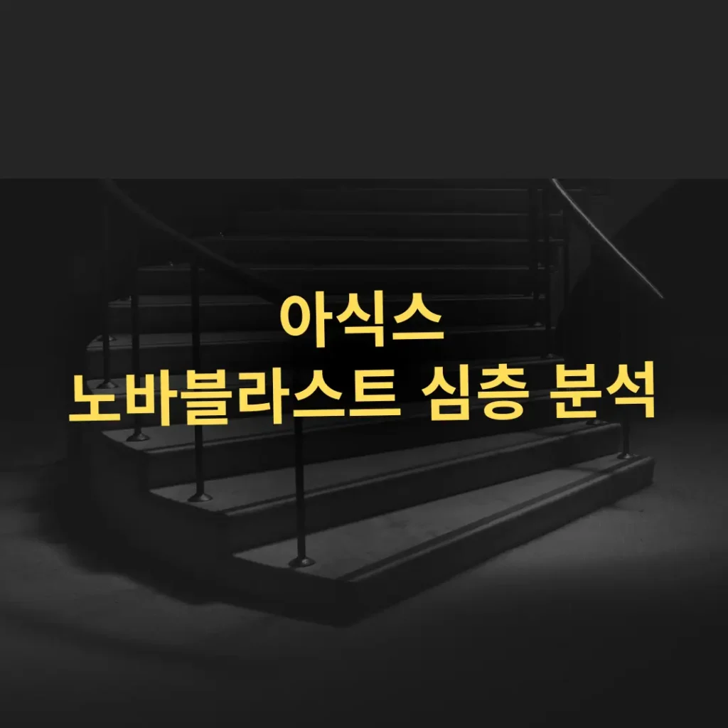 아식스 노바블라스트 시리즈 심층 분석