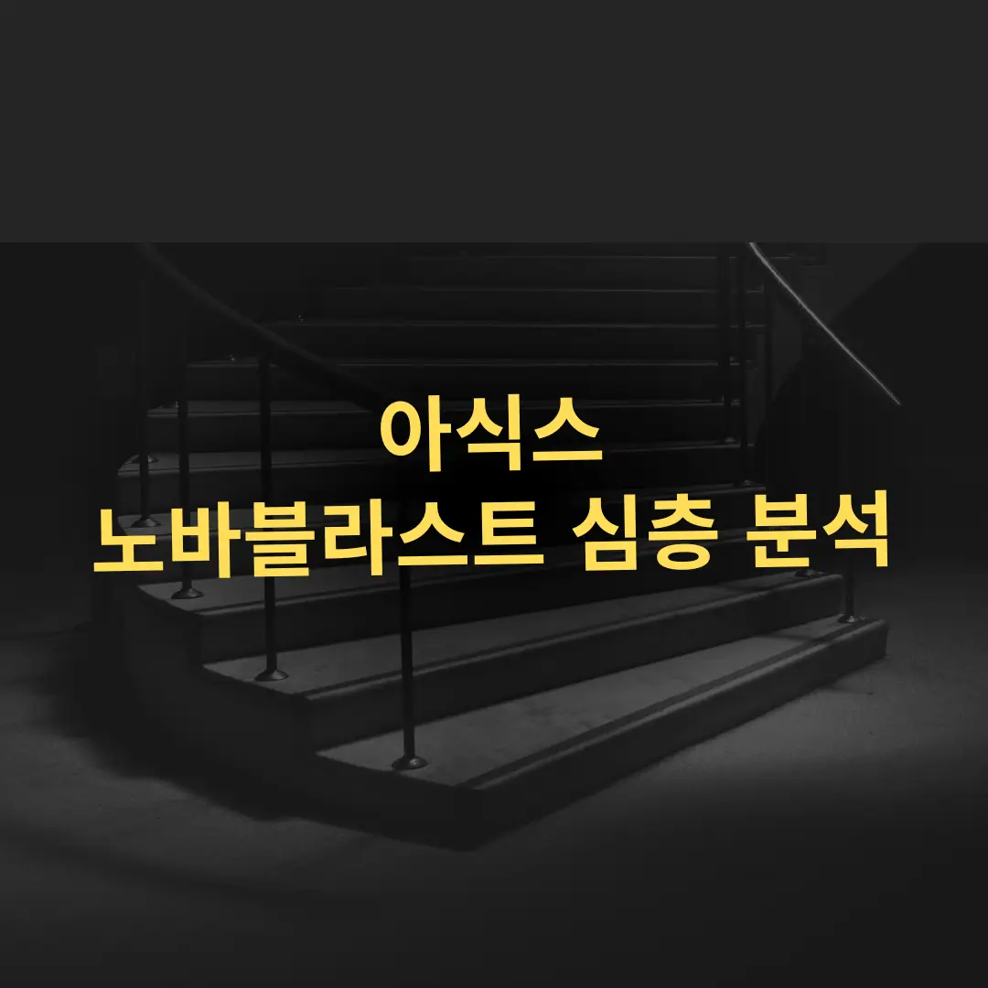 아식스 노바블라스트 시리즈 심층 분석