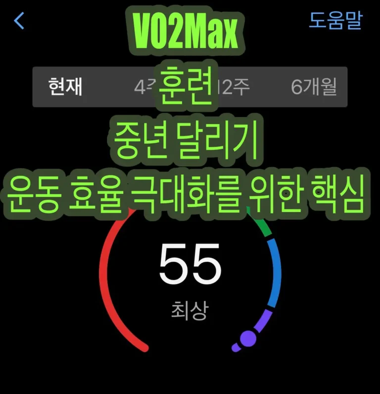 중년 달리기 운동 효율 극대화를 위한 핵심