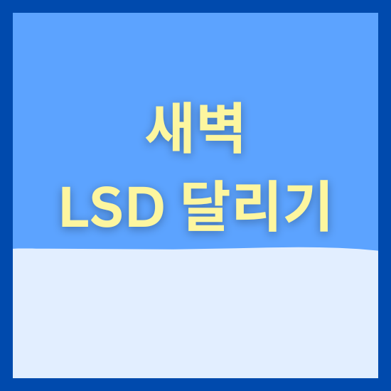 새벽 LSD 달리기